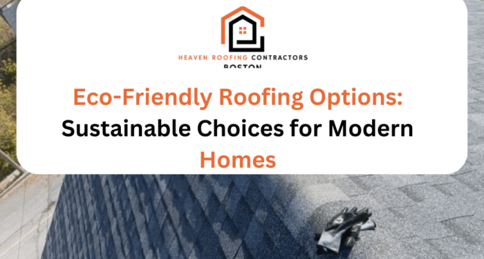 Eco-Friendly Roof Options Sustainable And Modern Roofing Choices For Homes